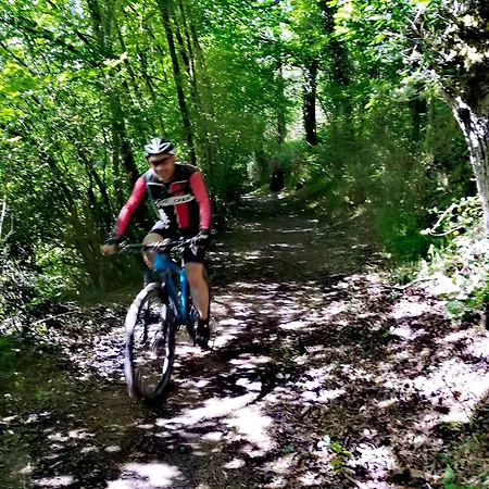 Bed & Breakfast Moulin Pont Vieux D'hotes 4*