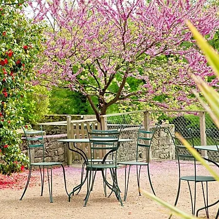 Moulin Pont Vieux D'hotes Bed & Breakfast Mortagne-sur-Sevre