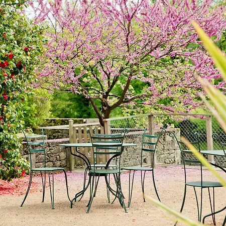 Moulin Pont Vieux D'hotes Bed & Breakfast